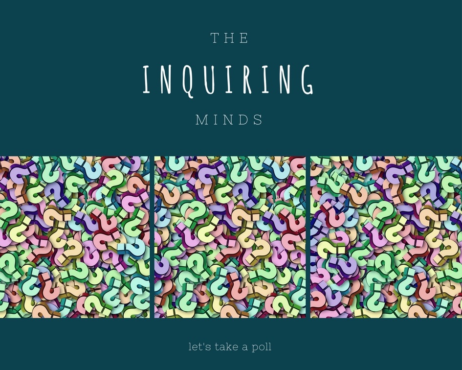 Inquiring Minds Workspace Donnawrites
